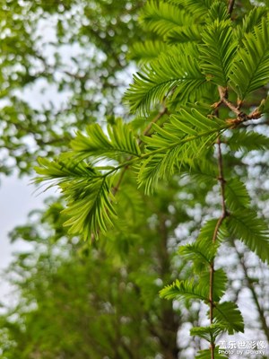 【新春星色彩】+春天的色彩