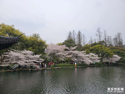 花花