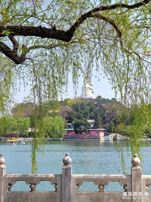 拍不盡的北海公園