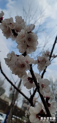 覺得不是那么差勁，曬下