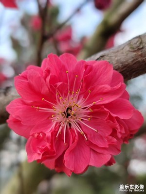 隨拍