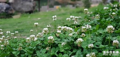 NOTE 10+ 第一次上自拍