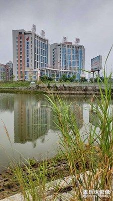 揭陽(yáng)