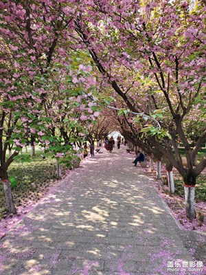公園小景