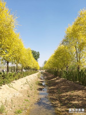 【霸屏朋友圈】濕地公園