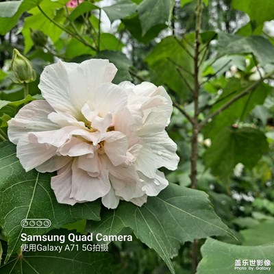 一圖勝萬(wàn)言。
