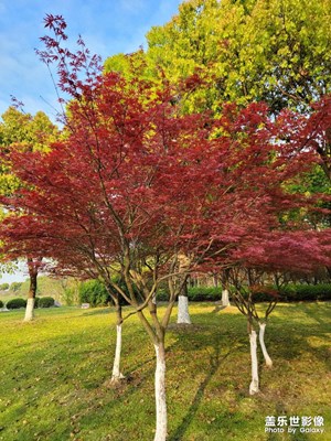 公園一角