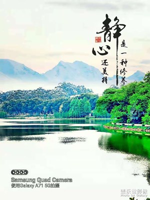 春色滿園