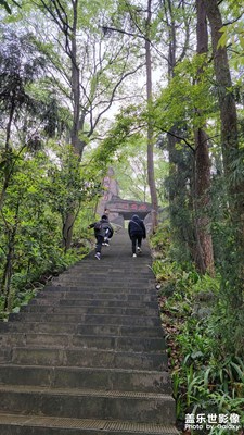 【出游記】+西游記