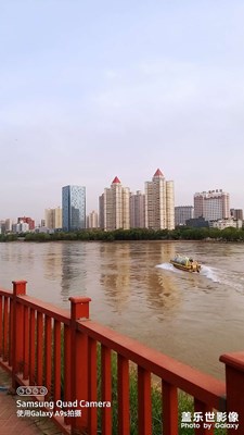 糊涂的拍