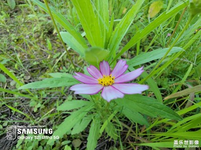 五一只能宅在家的我