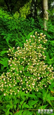 山河遠闊，人間煙火