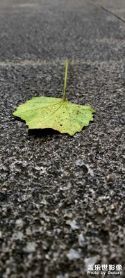 好看不？