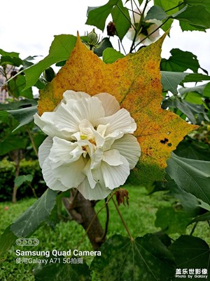 春曖花開(kāi)好時(shí)節(jié)