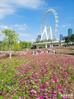 【我的五一生活】四處逛逛