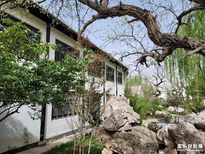 成像風格以及錄像水準。