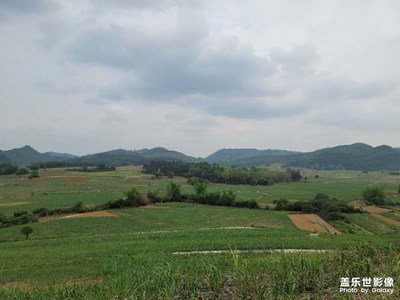 鄉(xiāng)村景色