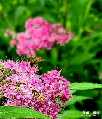 悄悄告訴你……