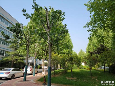 科技園