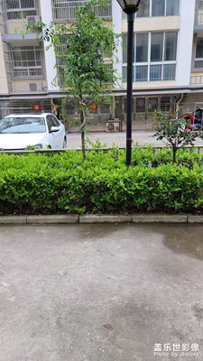 小城市普通小區(qū)真沒啥可拍的