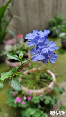 為什么我拍的這個(gè)邊緣發(fā)虛呢？