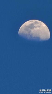 初陽(yáng)和早月