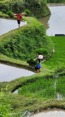 村在山里，美輪美奐