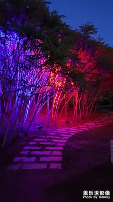 【發(fā)現(xiàn)之美】+樹(shù)影婆娑