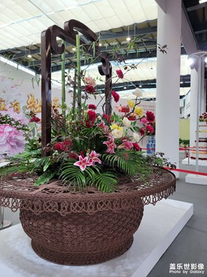 花博會(huì)開始啦