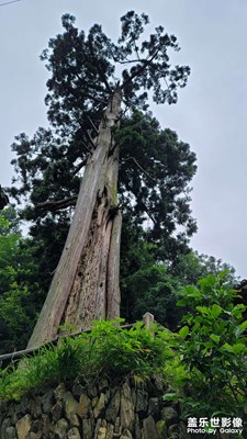 雷山，藏了多少美景在這里