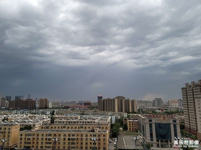 今日照片 黑云＋銅錢草