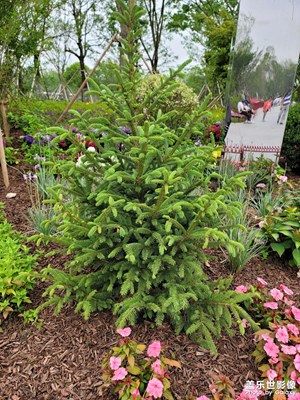 花博會(huì)開了真好看