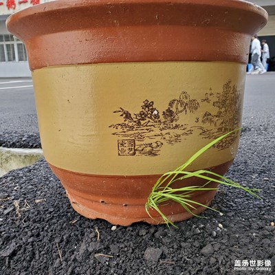 生活隨影