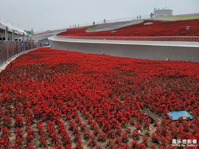 花博會(huì)開啦