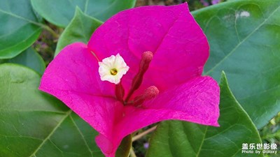 【春去夏猶清】+清涼夏天
