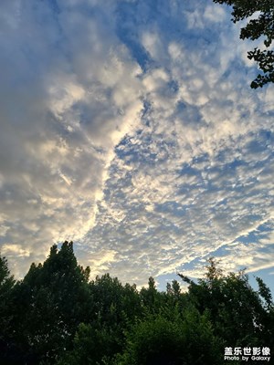 今日藍天分享