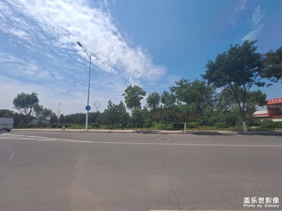 [Galaxy A51 5G]Say...