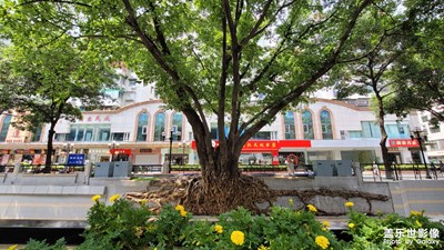 煥然一新的新#新河浦路