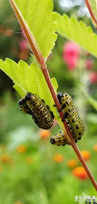 發(fā)現(xiàn)生活中微小的美好