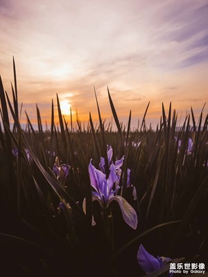 夕陽(yáng)西下
