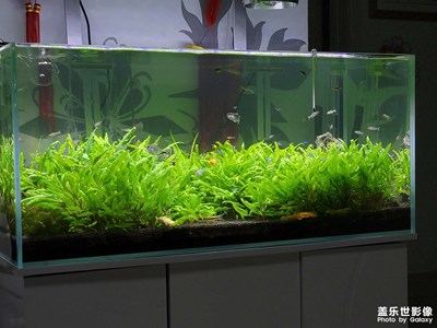 日常投食隨手拍