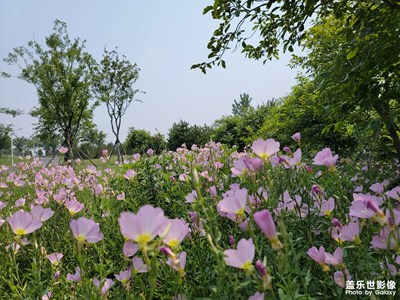 S21u隨手拍－九頂山
