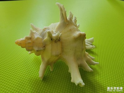 純粹是好看啊，沒別的意思