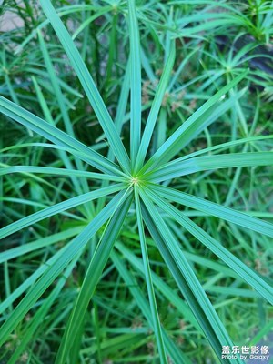 還不更新