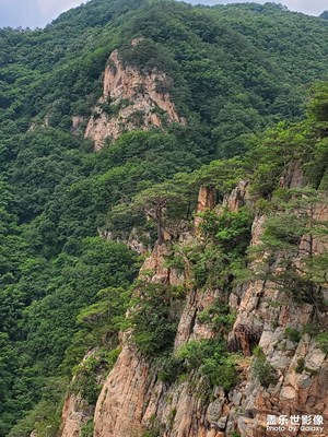 【星動一夏】+林中漫步