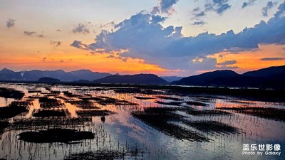 【星動一夏】+霞浦美景，日出日落