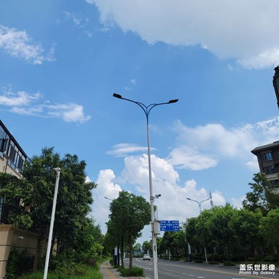 隨手拍