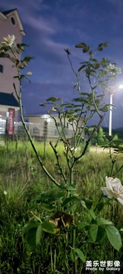 S21u拍夜景今晚才摸索到