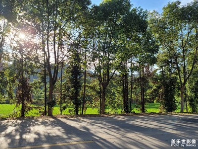 分享近期的一些生活碎片