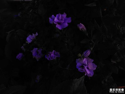 吃麻辣燙的路上